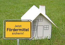 ezh55plus 502500.jpeg